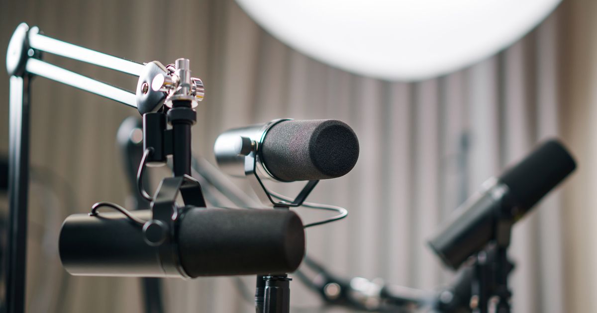 Dynamické studiové mikrofony v profesionálním akustickém nahrávacím studiu